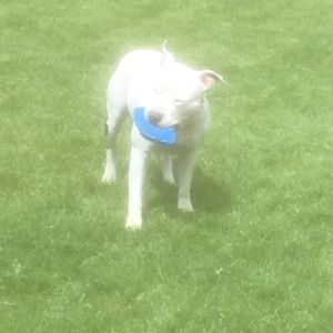 Meet your Posher, Mike